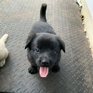 Meet your Posher, Manny